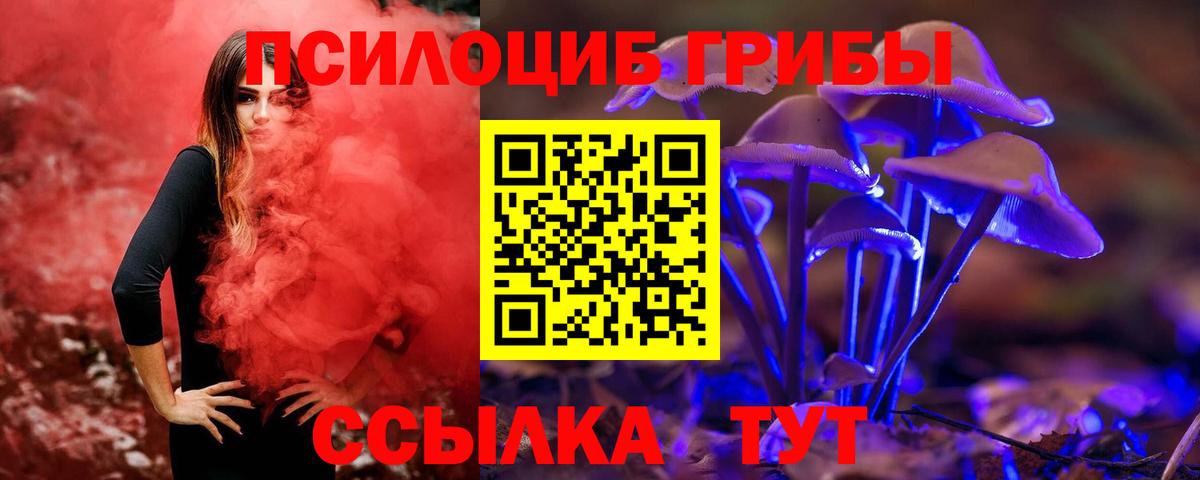 Екатеринбург  Галлюциногенные грибы Cubensis  Вход с VPN 